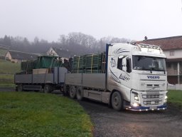 Transporte